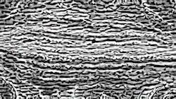 image: an image