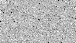 image: an image