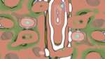 Third of 'reflets — msg — variations 2 z 1 6'.