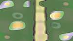 Sixth of 'reflets — msg — variations 2 z 1 6'.