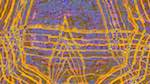 Fifth of 'reflets — msg — variations 2 z 2 1'.