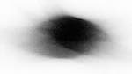 image: an image