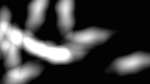 Sixth of 'reflets — msg — variations 2 z test 3 3'.