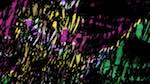 Third of 'zz msg presets ztest 1 26'.