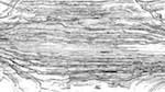 Third of 'zz msg presets ztest 2'.