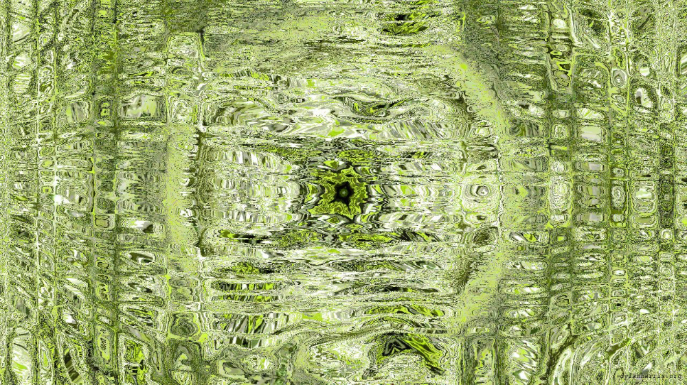 Image 'reflets — msg — variations 1 zygotes 1 2'.