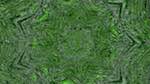 Fifth of 'reflets — msg — variations 1 zygotes 1'.