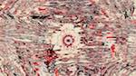 Seventh of 'reflets — msg — variations 1 zygotes 1'.