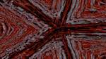Second of 'reflets — msg — variations 1 zygotes 2'.