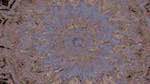 First of 'reflets — msg — variations 1 zygotes 4'.