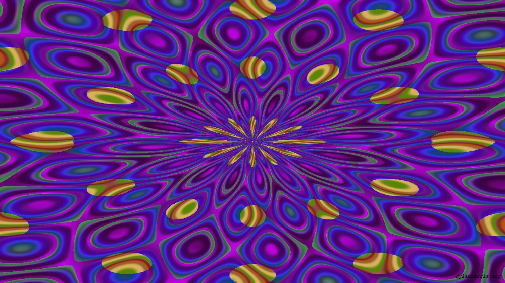 image: an image