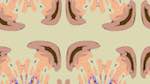 Fourth of 'reflets — msg — variations 2 zzz 2 7'.