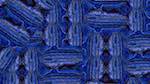 Seventh of 'reflets — msg — variations 2 zzzzzz test cg 1'.