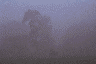 image: Environment (281K)