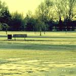 image: Image from the photoset ‘st.neots park (i)’.