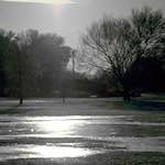 image: Image from the photoset ‘st.neots park (i)’.