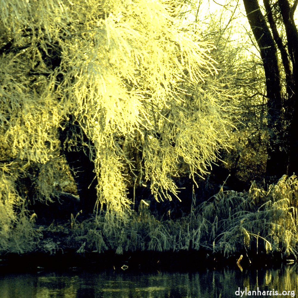 image: st.neots park