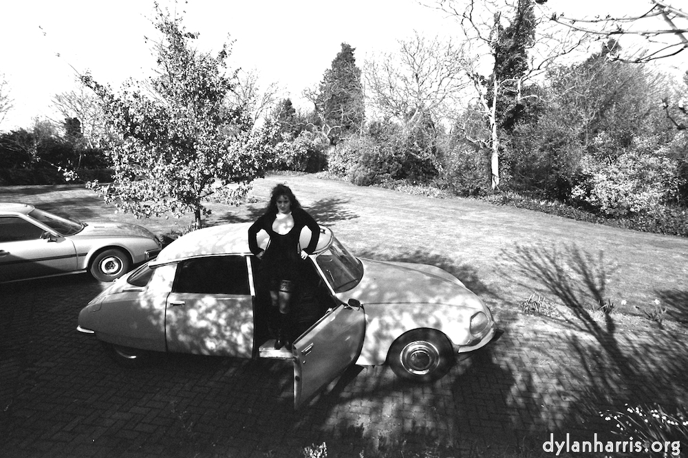 Image 'kerry (iii) 1'.