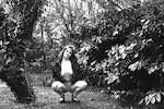 Image: Second image from the photoset 'kerry (v)'.