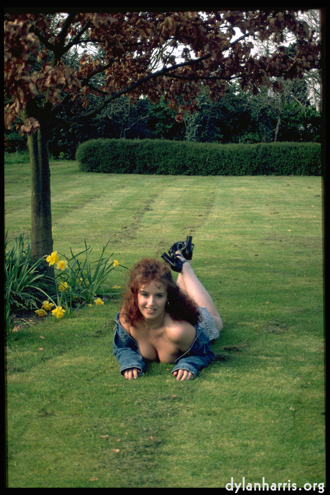 Image 'kerry (ix) 1'.