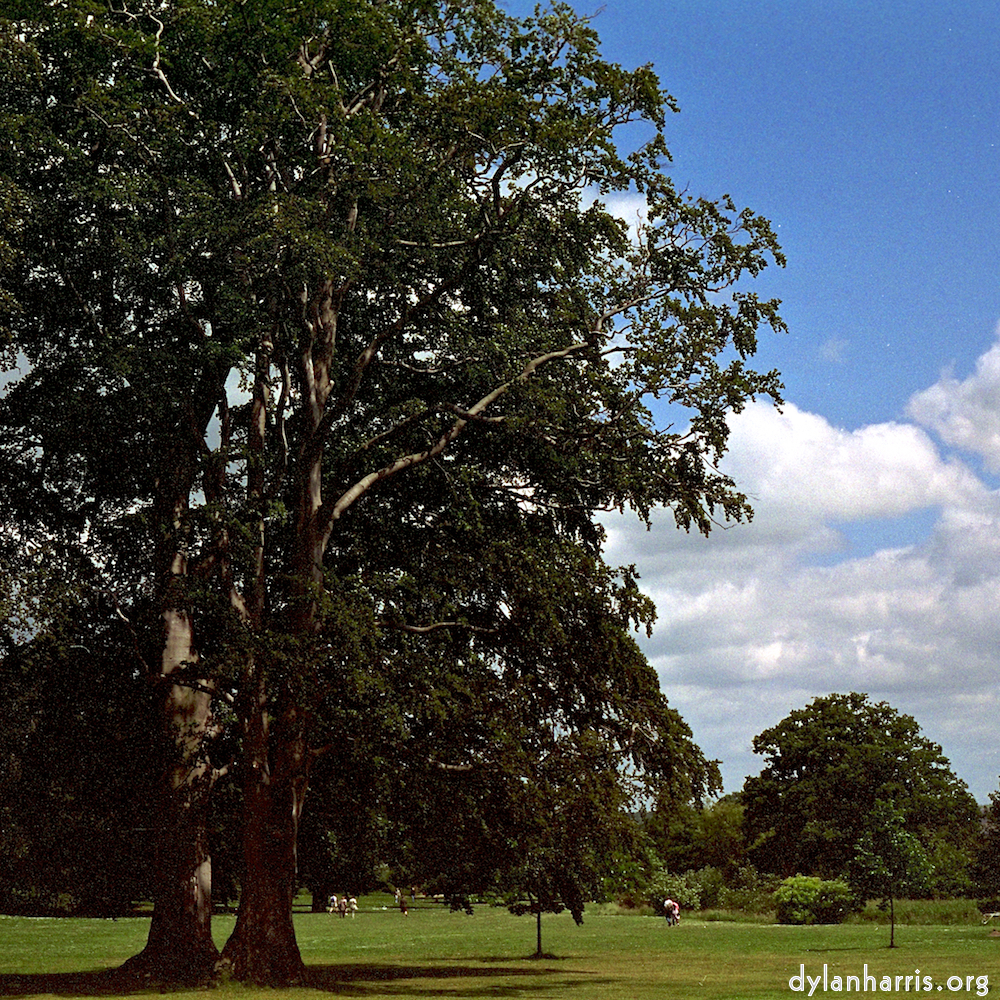Image: Image 'yorkshire (iii) 1'.