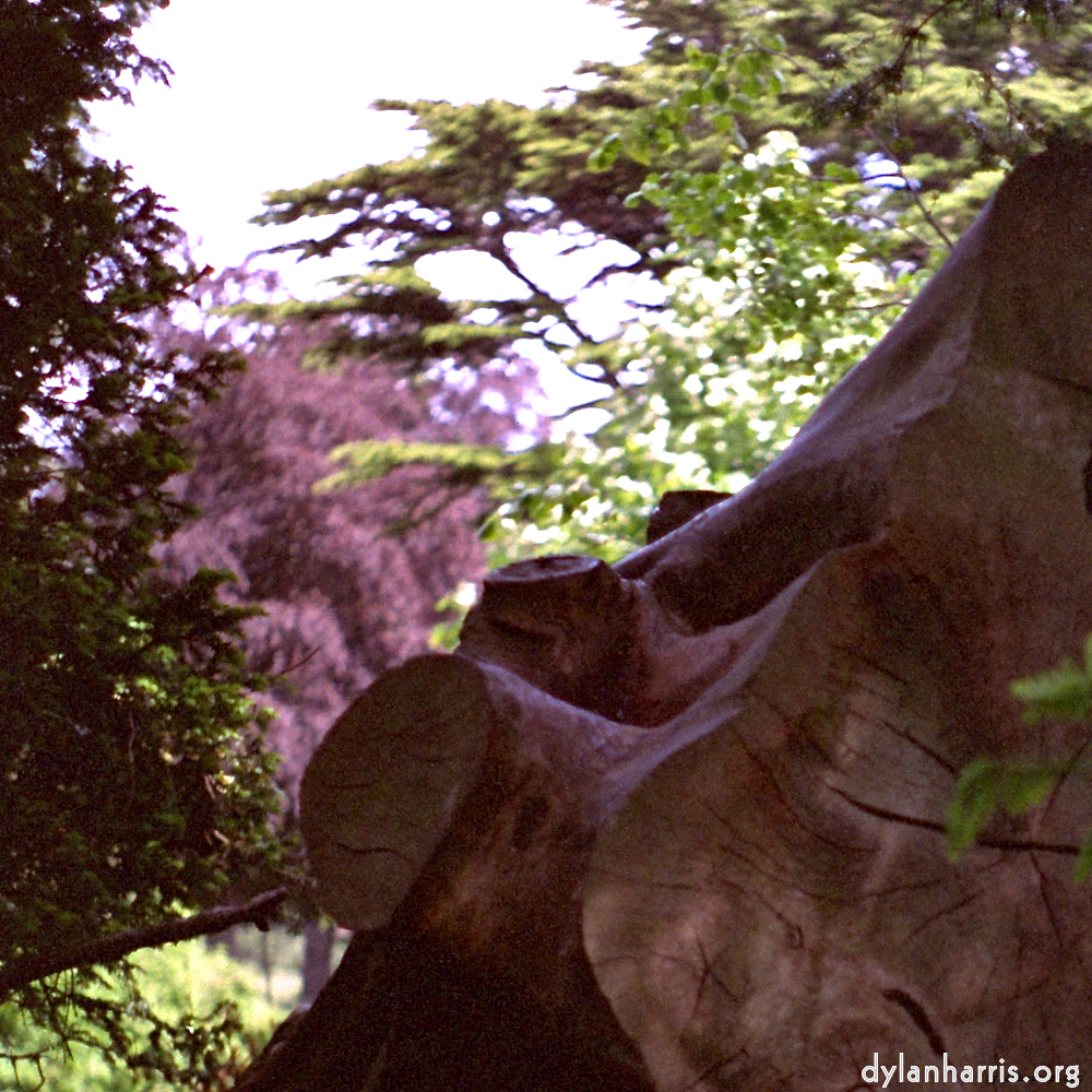 image: Voici ‘yorkshire (iii) 3’.