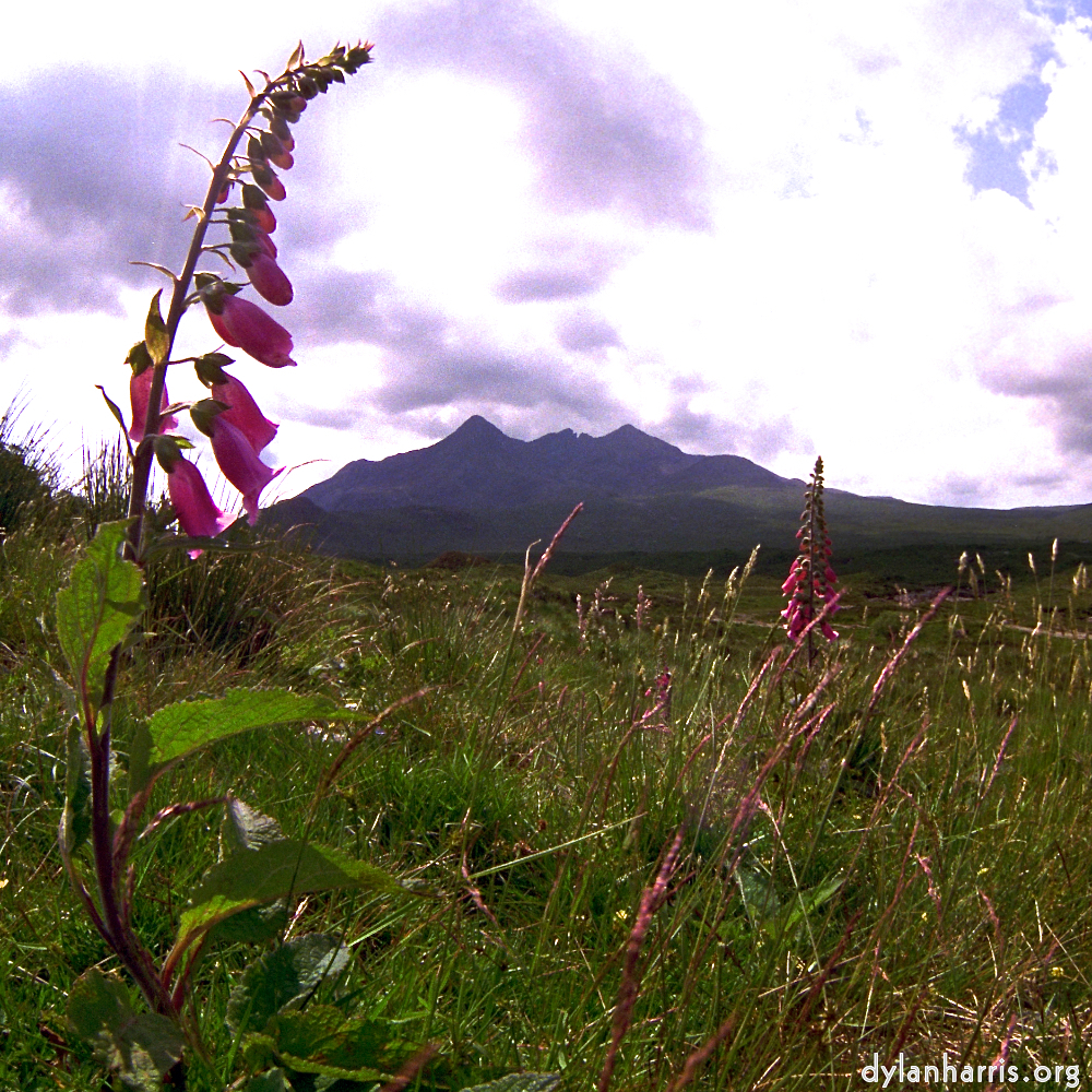 Image 'highlands (iv) 6'.