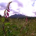 Sixth image from the photoset 'highlands (iv)'.