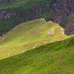 Image: Fifth image from the photoset 'highlands (vii)'.