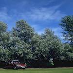 First image from the photoset 'citroën (iv)'.