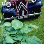 Sixth image from the photoset 'citroën (vii)'.