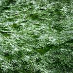 image: Image from the photoset ‘untitled (xxi)’.