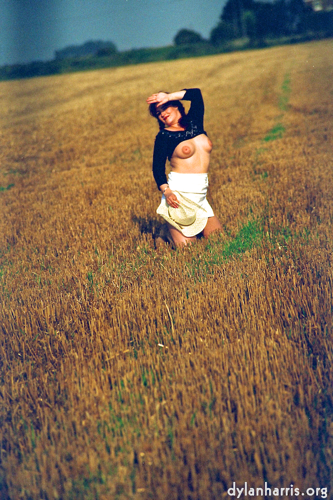 Image 'kerry (xix) 4'.