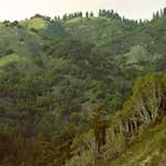 Third image from the photoset 'highway one'.