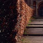 Image: First image from the photoset 'raunds (i)'.