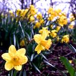 Image: Fourth image from the photoset 'raunds (i)'.