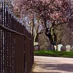 image: raunds (i) photoset
