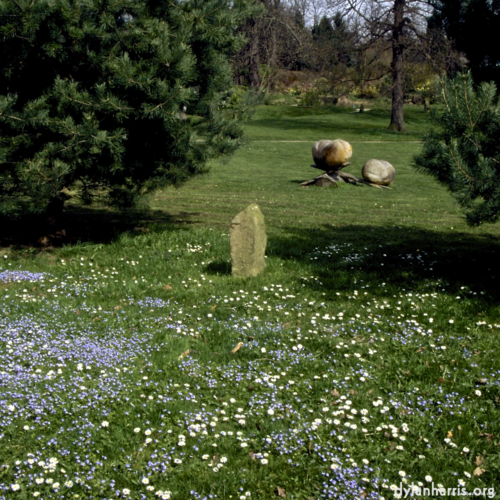 Image 'yorkshire (v) 5'.