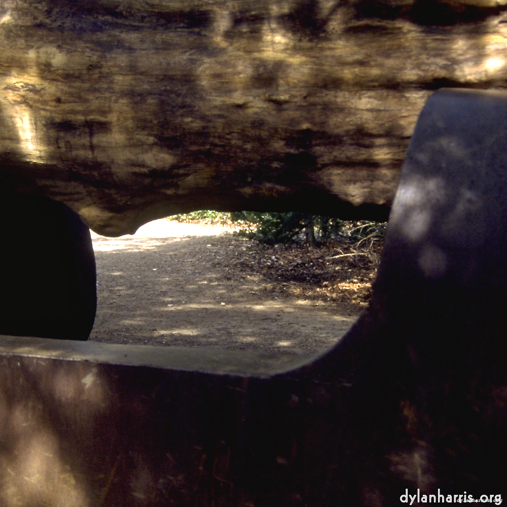Image 'yorkshire (v) 8'.