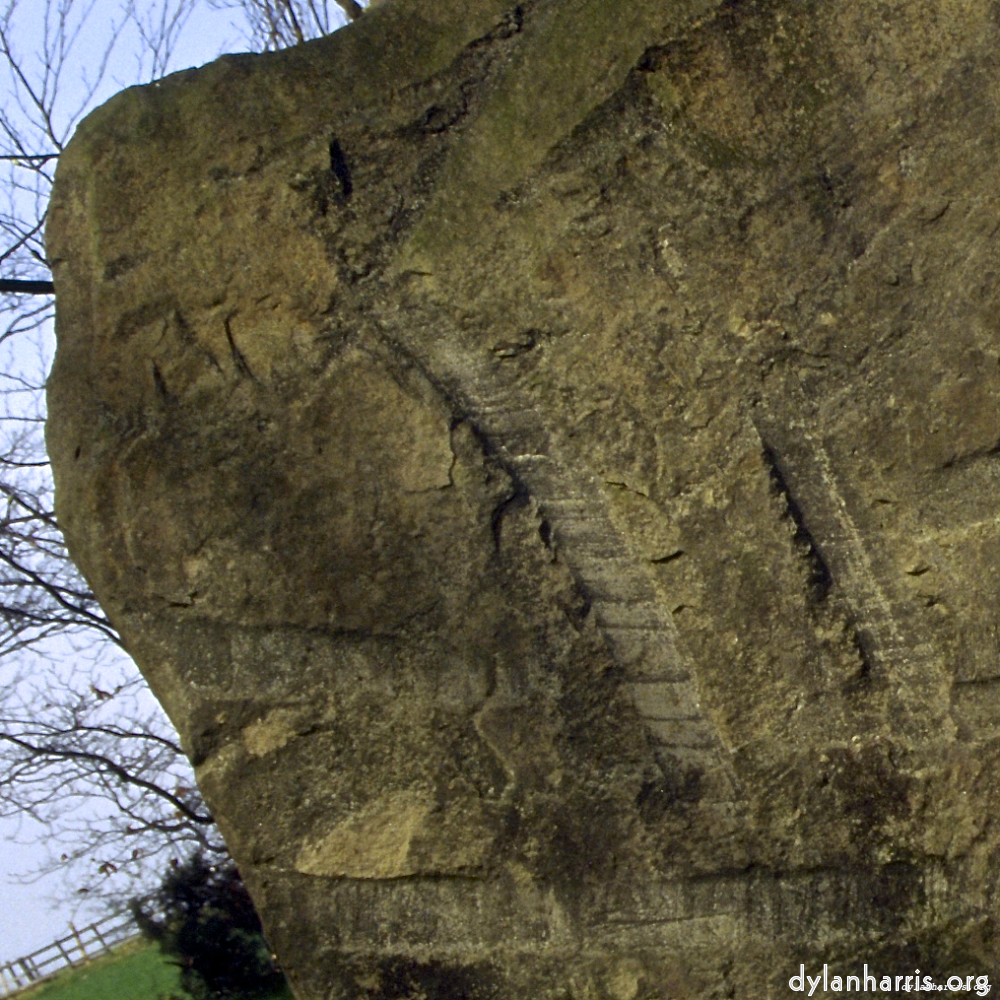 Image 'yorkshire (v) 9'.