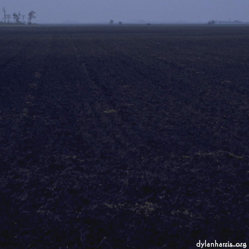 image: an image