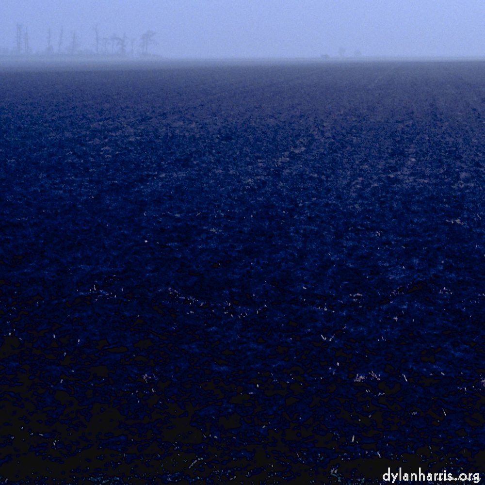 image: an image