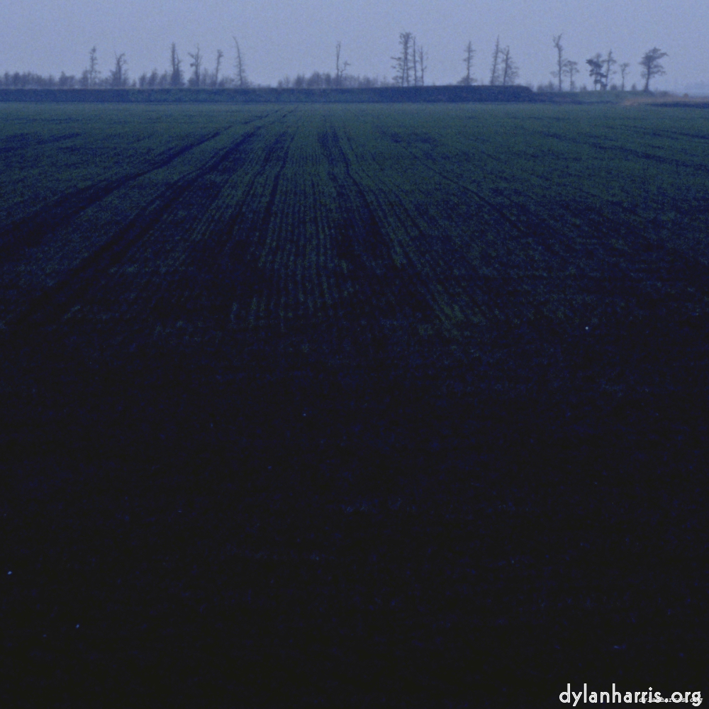 image: an image