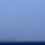 image: Trees distant in fenland fog