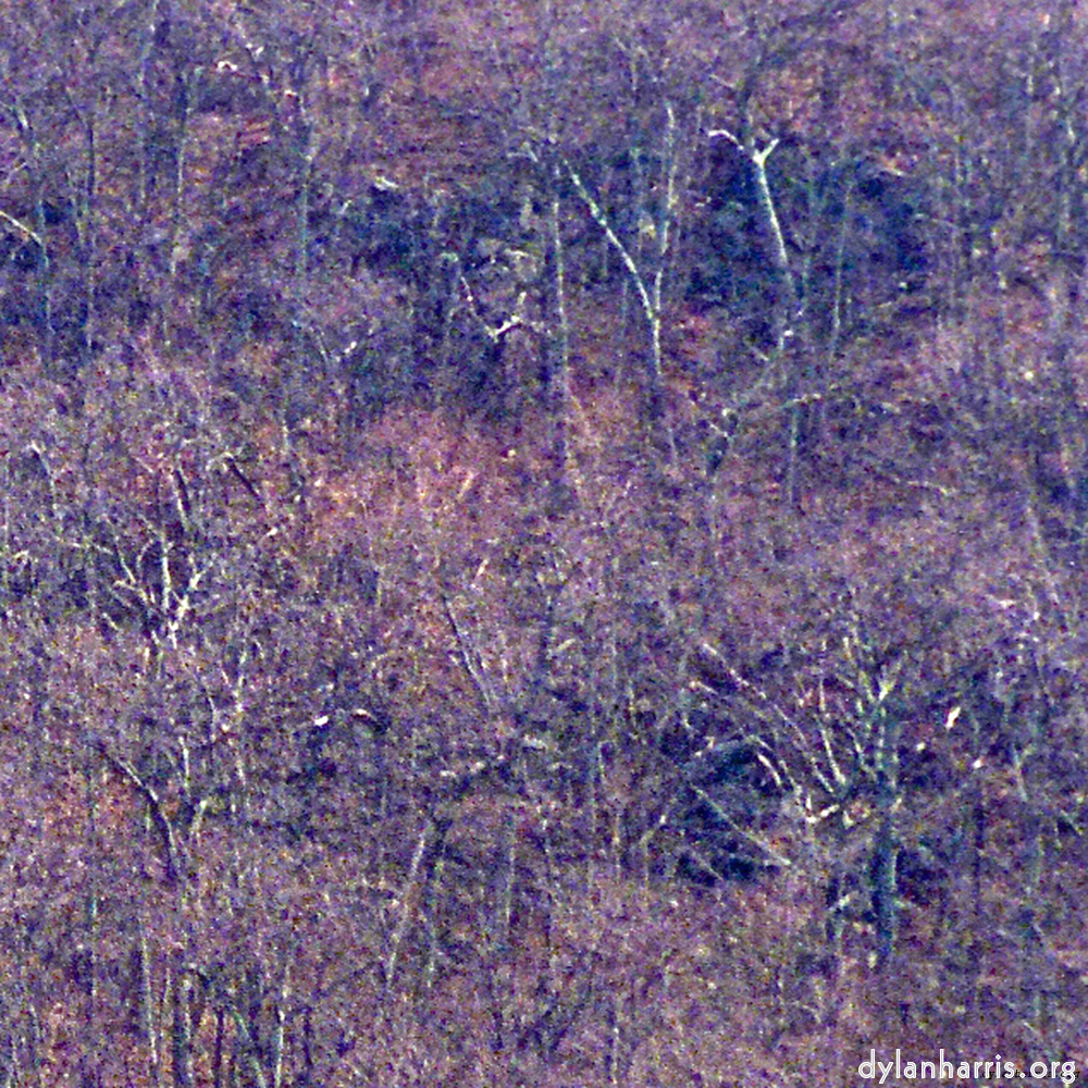 Image 'wood (ix) 2'.
