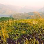 Image: Second image from the photoset 'highlands (viii)'.