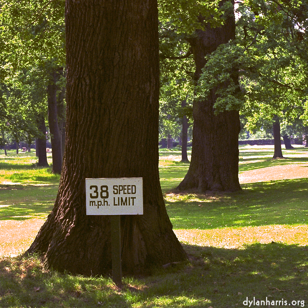 Image 'wood (x) 1'.