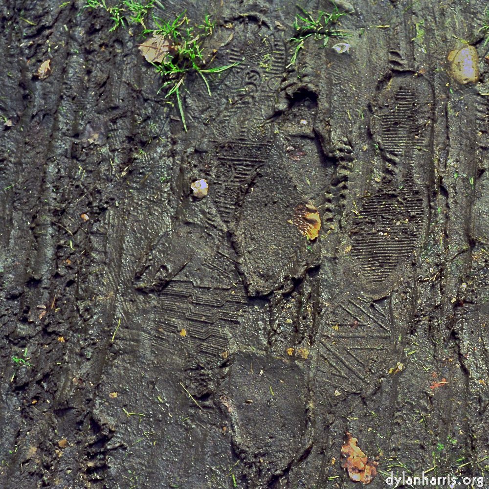 Image: Image 'wood (x) 2'.