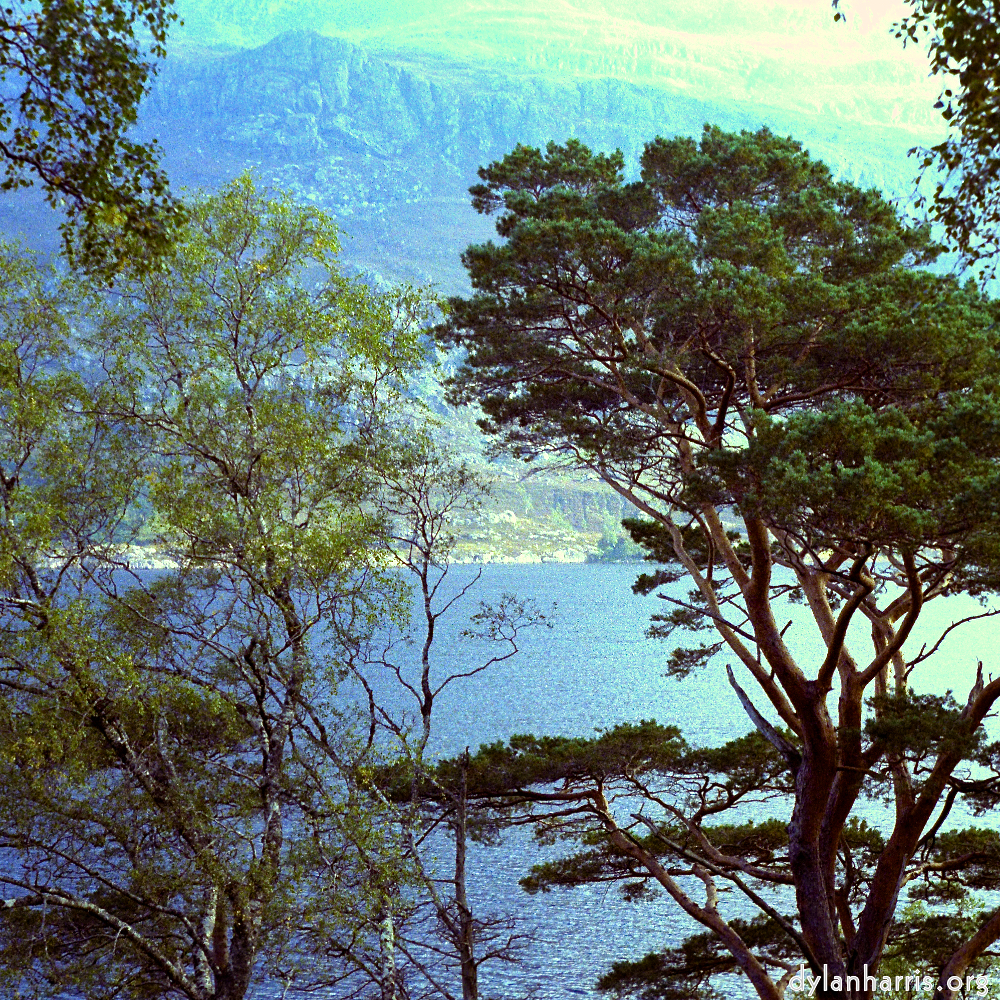 Image: Image 'wood (x) 4'.