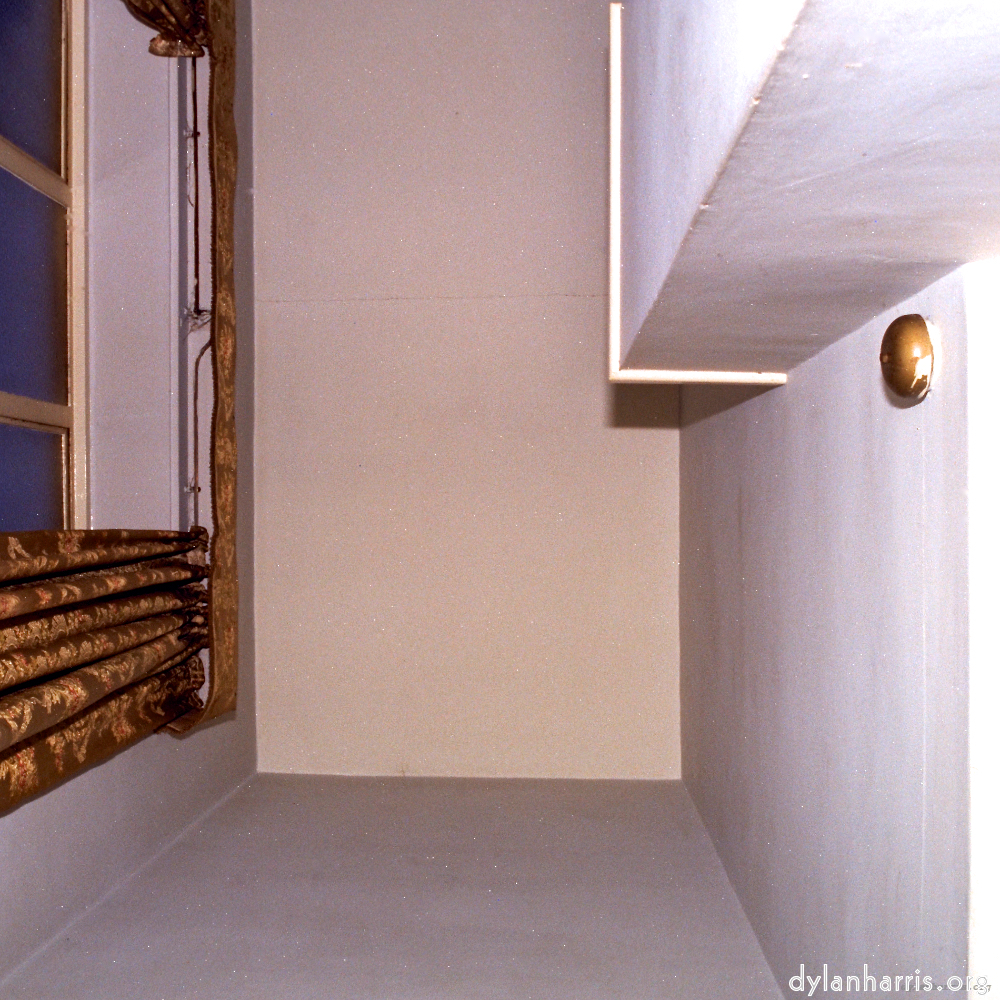 image: an image